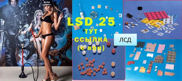 PSILOCYBIN Богородицк