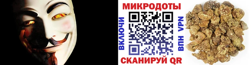 Галлюциногенные грибы Cubensis маркетплейс какой сайт Наро-Фоминск закладки